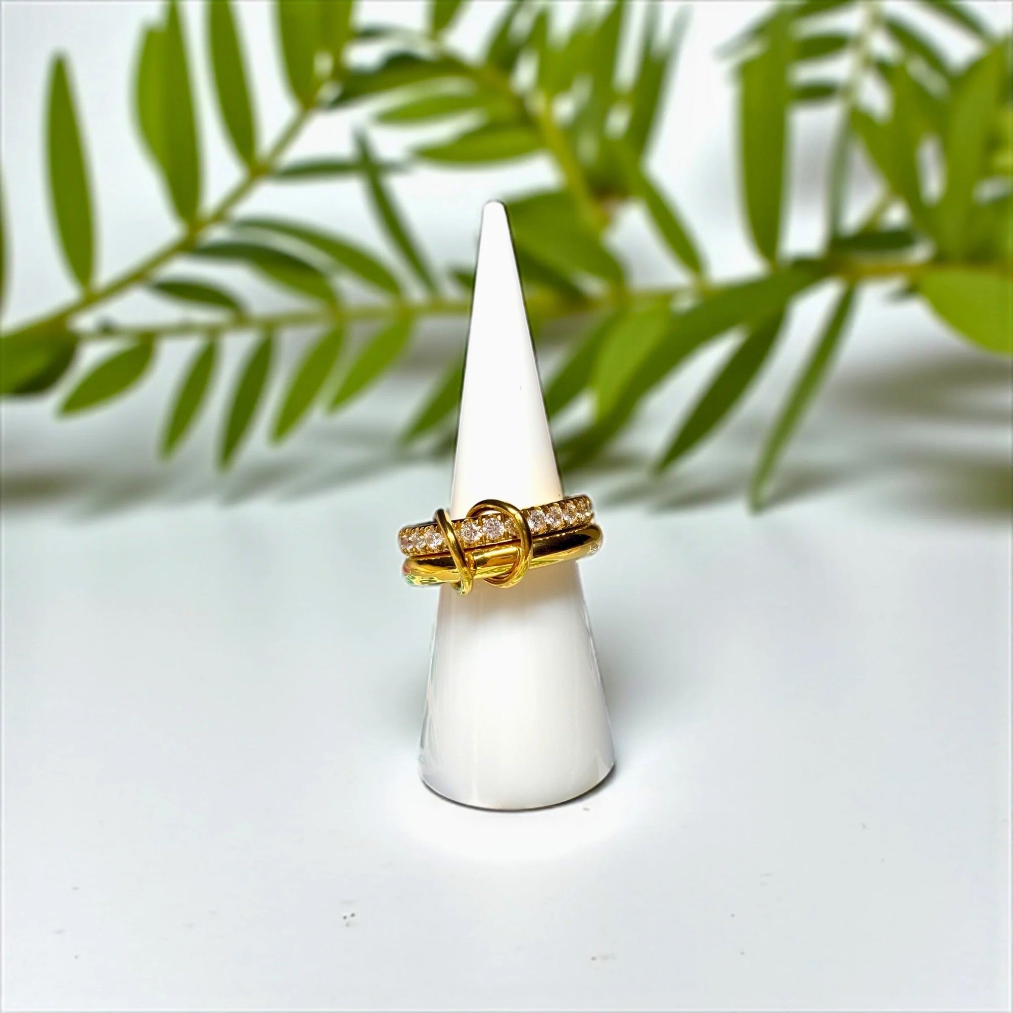Eternal Ring1