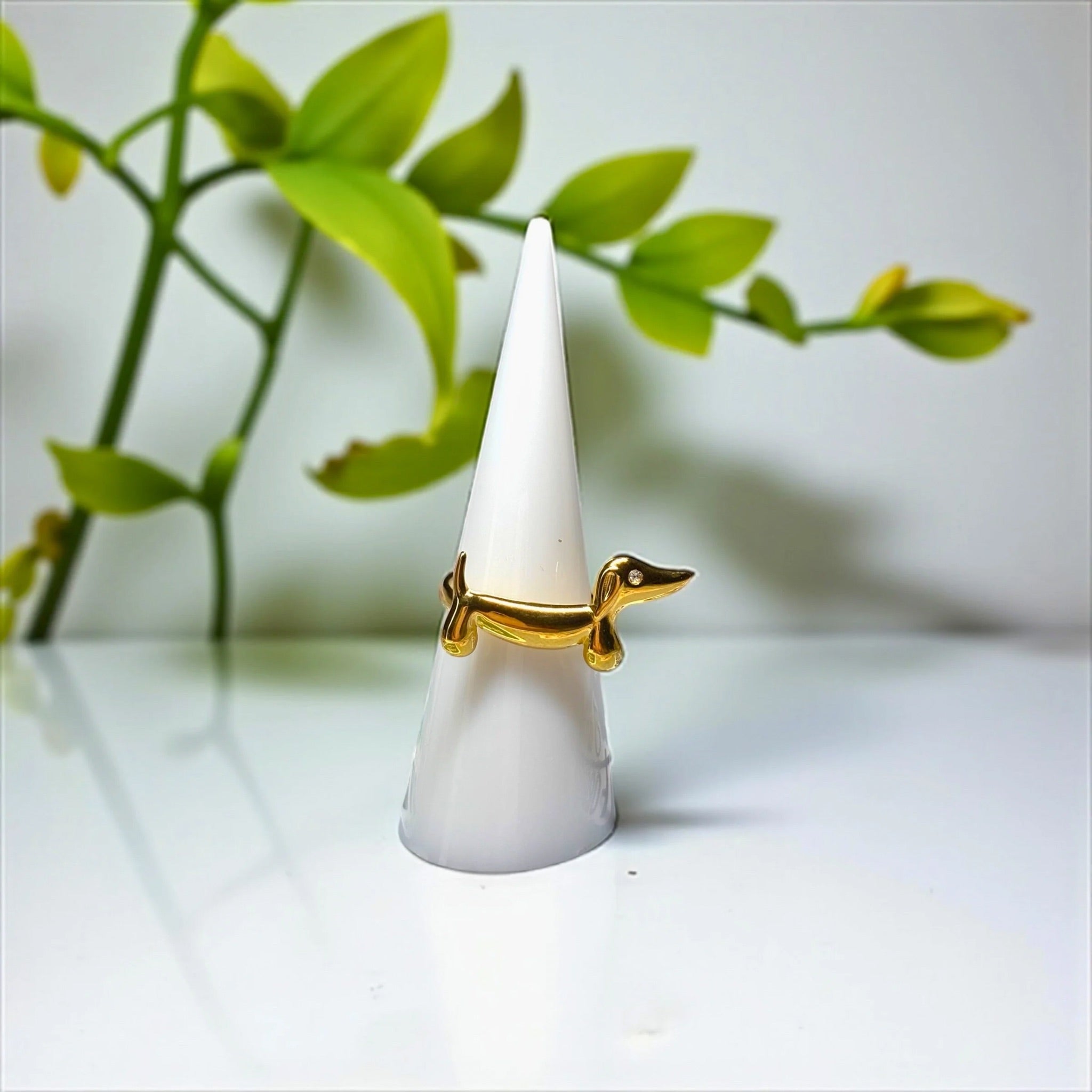 Dog Ring